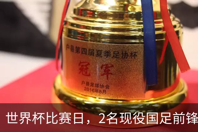 世界杯比赛日，2名现役国足前锋集体向C罗示“爱”